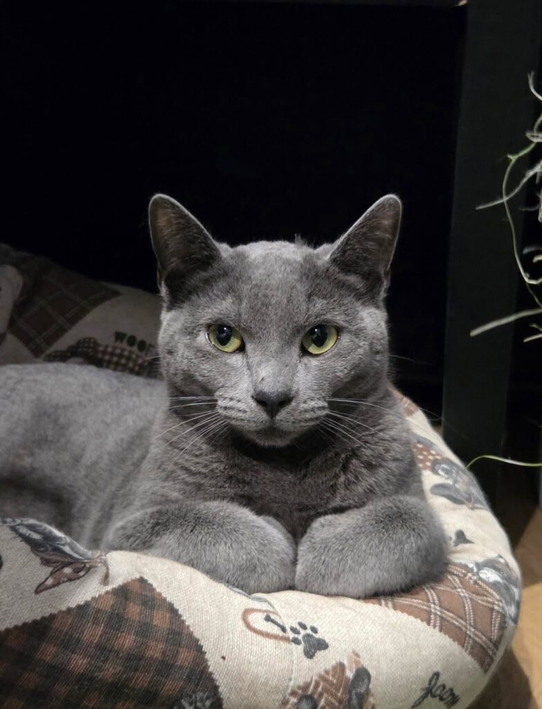 Max