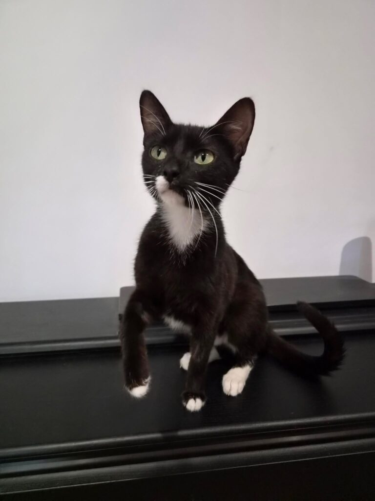 Kali